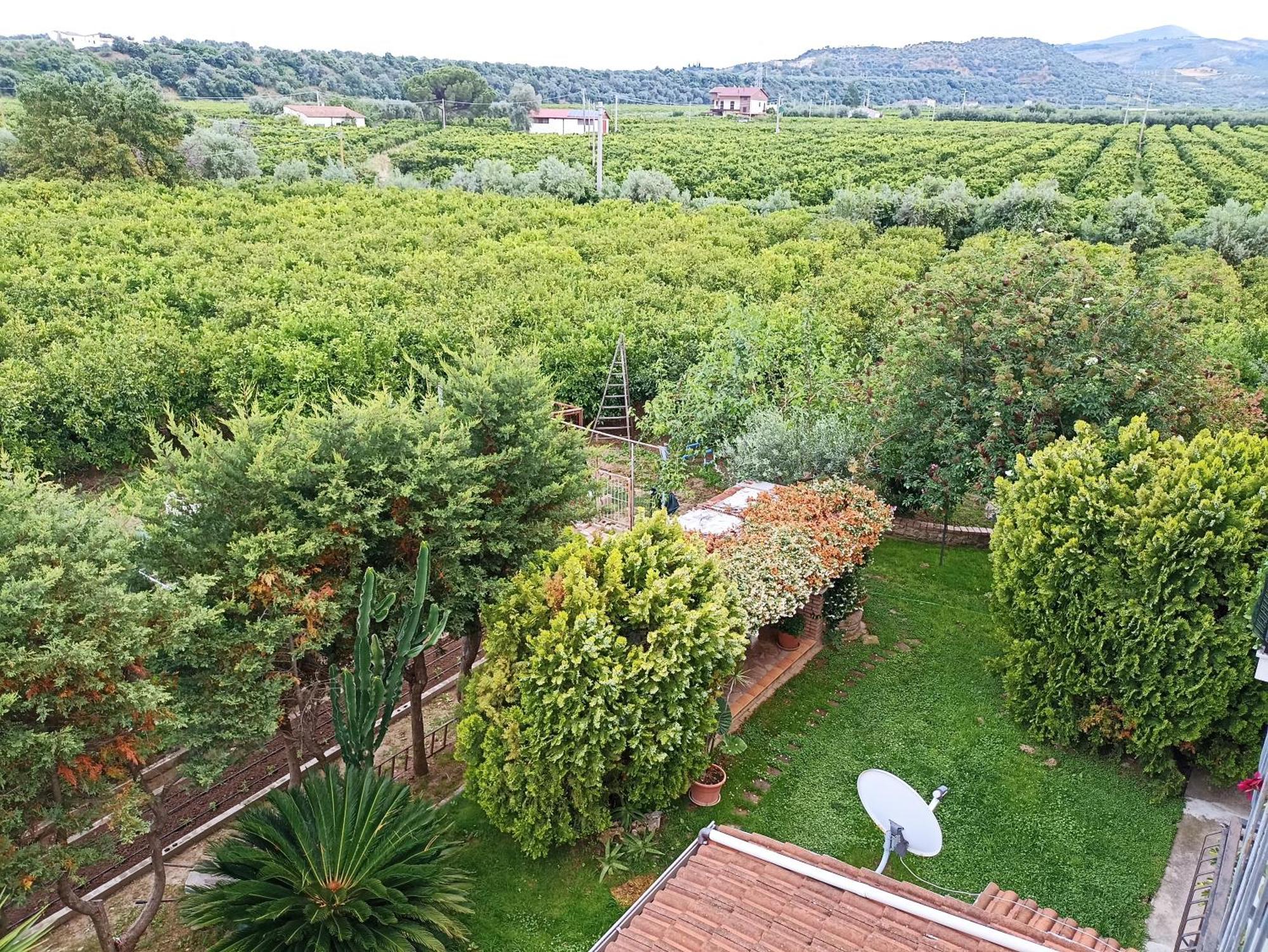 B&B Casa Gabriele Rossano Exterior foto